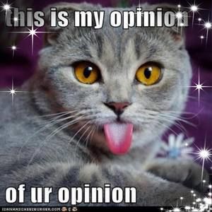 Meet your Posher, Cheryl